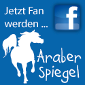 Jetzt Fan werden bei Facebook - araberspiegel.de